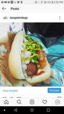 Dawg Es Classic Regular Hot dog