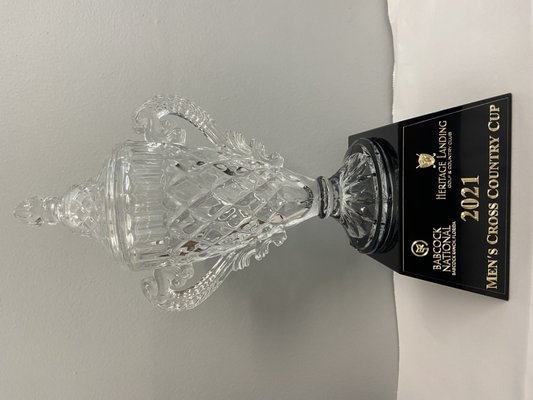 glass cup trophy