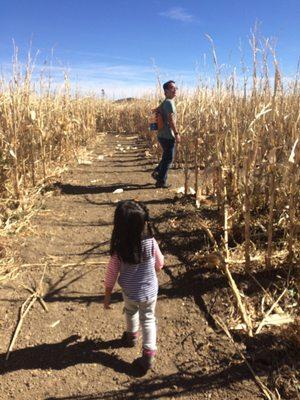 Corn Maze: they have 3 mazes