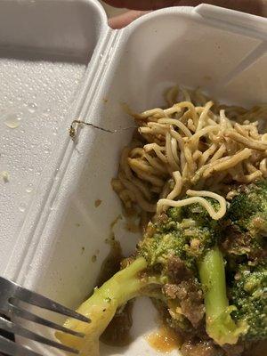 Broccoli beef with pan fried noodles