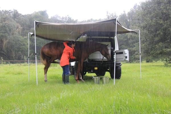 Dr. Natalie Mercer, Equine Veterinarian