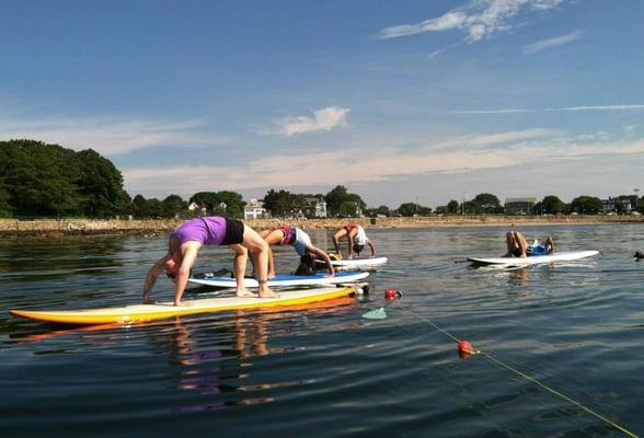 Cape Ann SUP