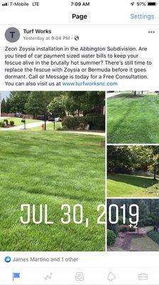 From Fescue to Zeon Zoysia lawn renovation!