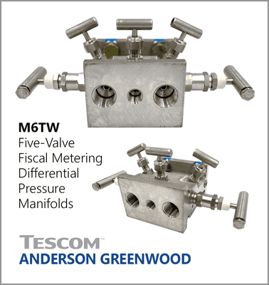 Anderson Greenwood M6TW Five-Valve Fiscal Metering Differential Pressure Manifolds