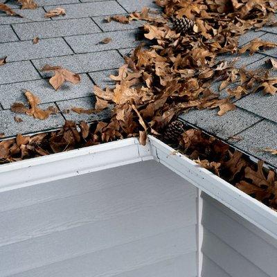 We remove leafs off roof tops and gutters for a reasonable price.