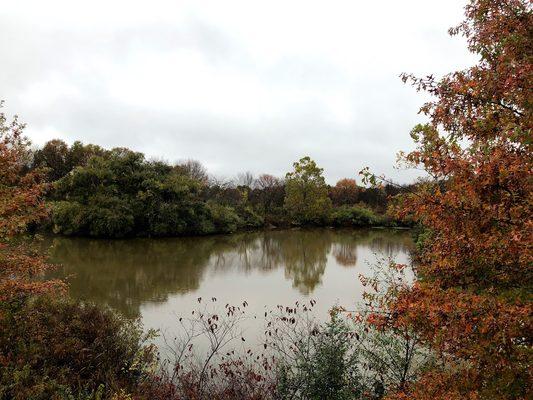 A view of one of the ponds, from the very beginning of the great trail system.