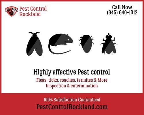 Residential Pest Control