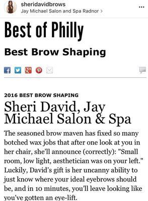 Best of philly brow shaping 2017 Sheri david