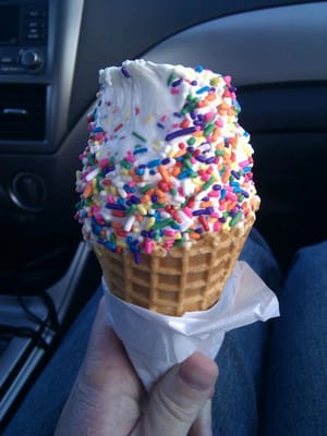 Regular vanilla custard in a waffle cone with rainbow jimmies