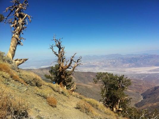 Telescope Peak