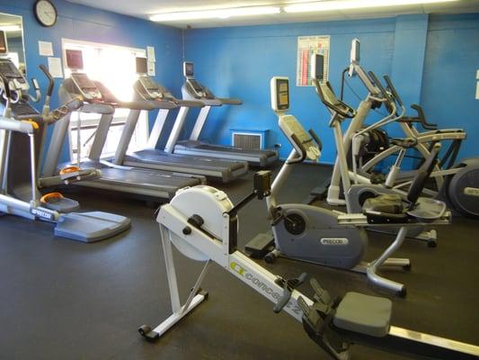 Cardio equipment with TVs. Incudes AMT trainer, treadmills, rowers, bikes, including recumbent and spinners and 2 elypticals.