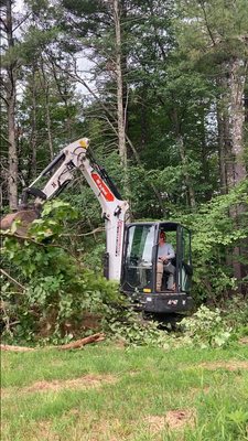 Brush cutting in Hopkinton New Hampshire.