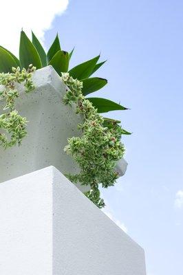 Vases in top of columns with drought resistant plants