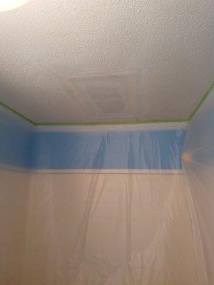 Ceiling repairs