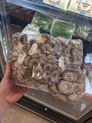 oyster mushrooms