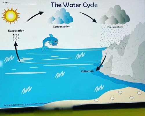 The Water Cycle