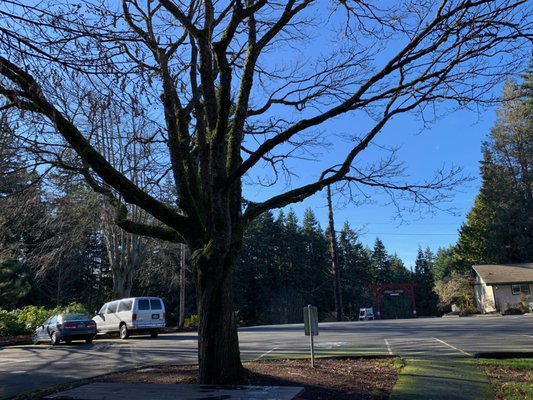 Parking lot by the recreation office.