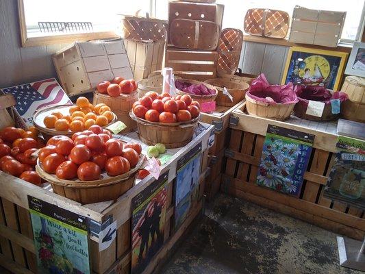 Field Grown Vine-Ripe Tomatoes year 'round.