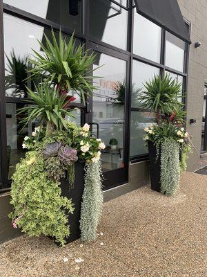 Custom Planters and exotic annual arrangements