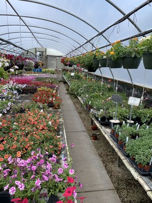 Hoop house with gorgeous annuals and baskets