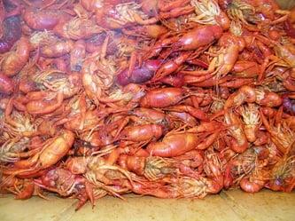 boiled crawfish