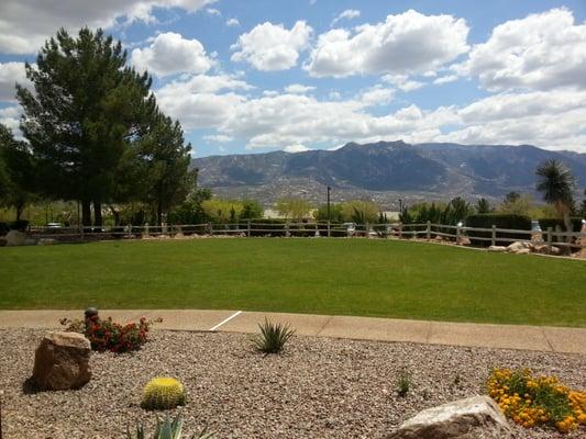 Easter Brunch view from the table of Catalina Mountains.