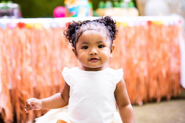 One year old birthday Party Photo in Maple Grove Minnesota.