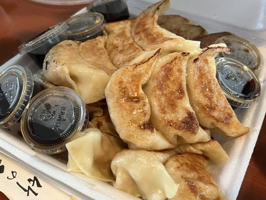 Gyoza