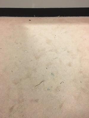 The floor in the dressing room & this picture does not do it justice. Gee, maybe this is why nobody shops at department stores anymore?