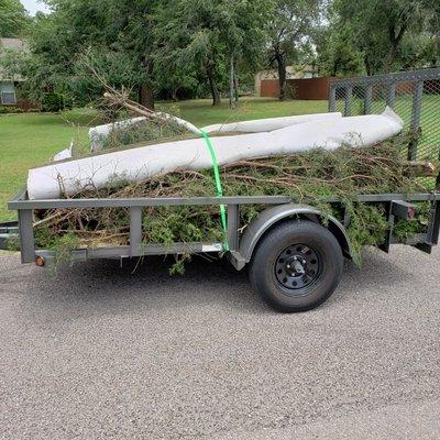 Client needed low hanging limbs cut and some carpet hauled off.