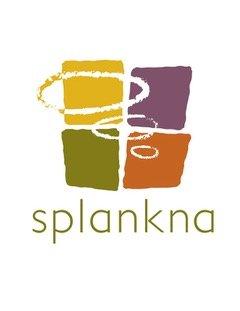 Certified Master Splankna Practitioner