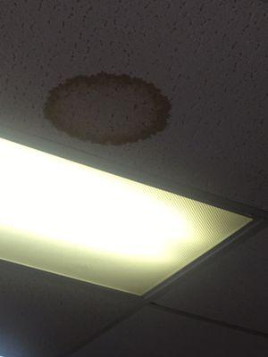 How long would it take to replace a ceiling tile?