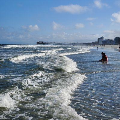 Visit our listing on Airbnb to view our beautiful beach house in Myrtle Beach, South Carolina!  airbnb.com/h/beachtherapysc