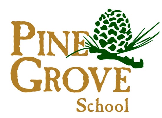 Pine Grove School