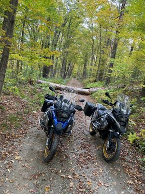 Mount Greylock State Reservation