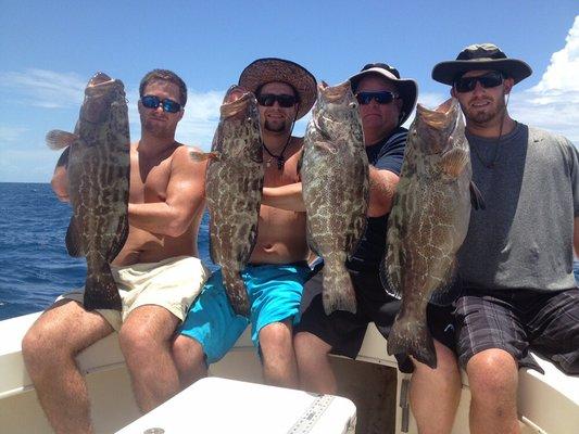 Black Grouper