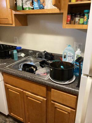 Kitchen before the clean