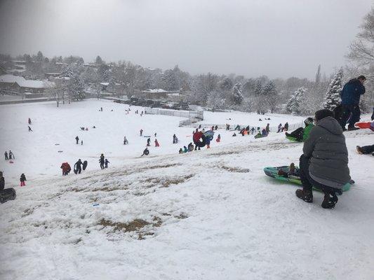 Sledding