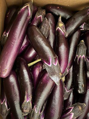 Eggplant