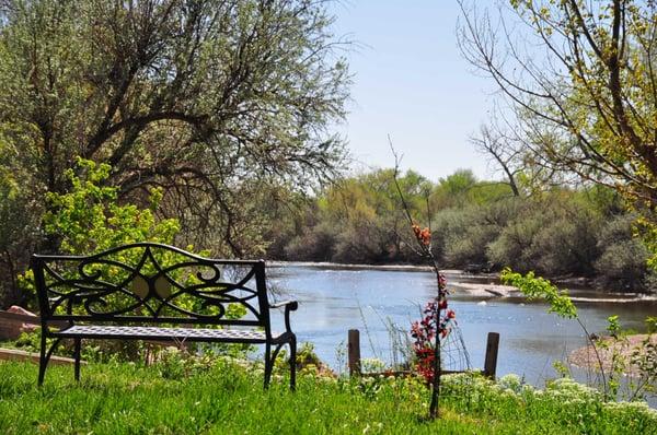 Bench looking east over the river