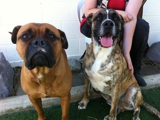 Isis & Oliver hang out with our staff after a play session