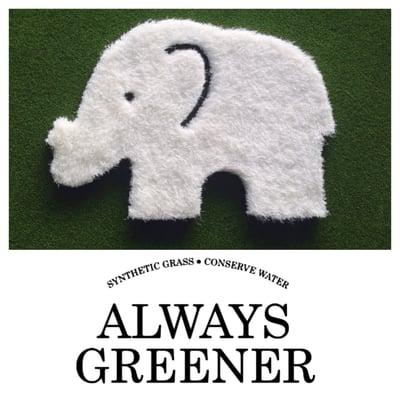 Elephant grass rug