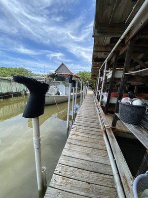 Down the dock at the farm