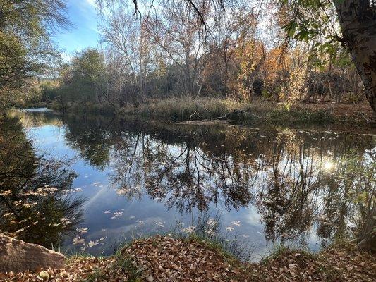 Oak Creek runs along side of Camp Avalon.