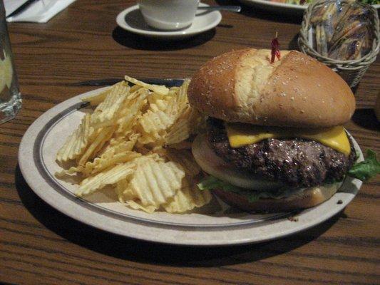 Nasty looking burger and instead of Fries they serve a side of Mikes potato chips saving them mon ey