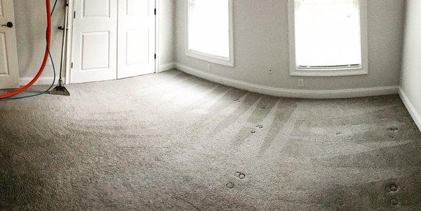 Carpet Cleaning