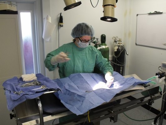 Dr. Pepin in surgery