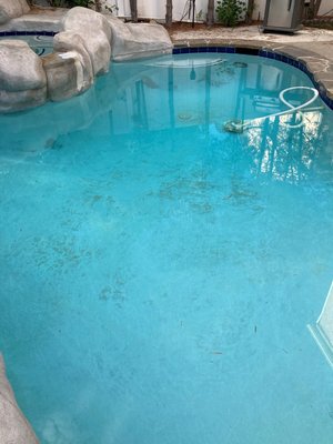 All Clear Pool & Spa Care