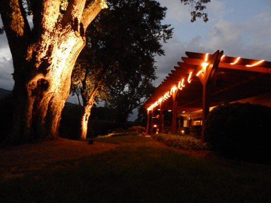 Back patio of the Inn at night with uplighting.