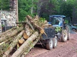 Tree Removal Services